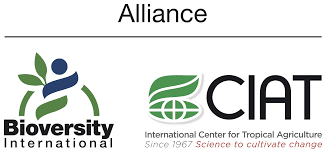 Alliance of Bioversity International & CIAT Alliance of Bioversity International & CIAT